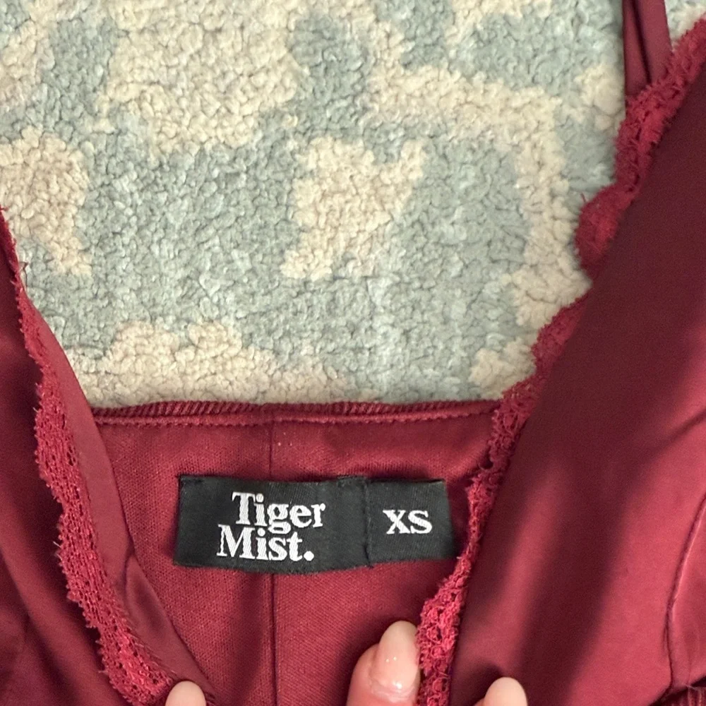 Tiger Mist Deep Red Lace corset Top - Picture 4 of 5